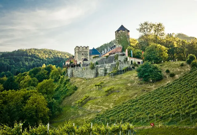 Burg Deutschlandsberg über den Weinbergen