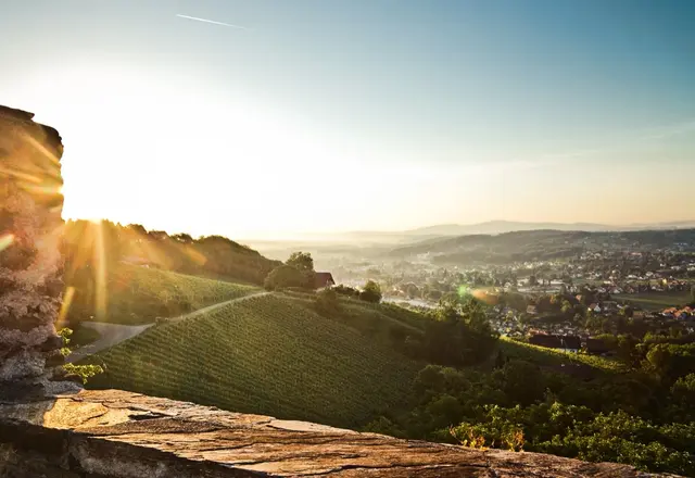 Morgenblick über das Schilcherland