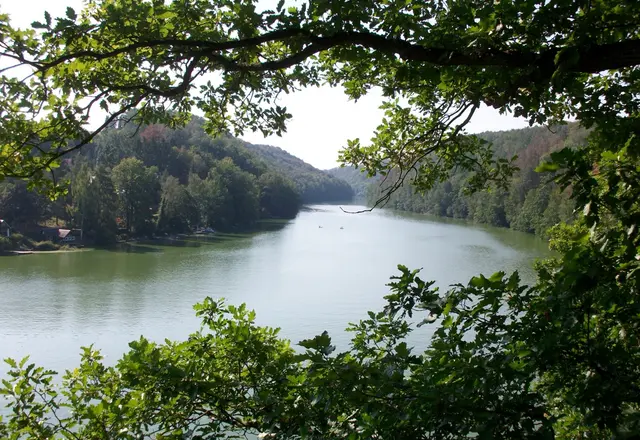Natur rund um das Camp in Falkenhain