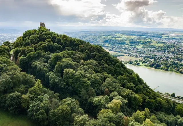 Der Drachenfels über dem Rhein bei Königswinter