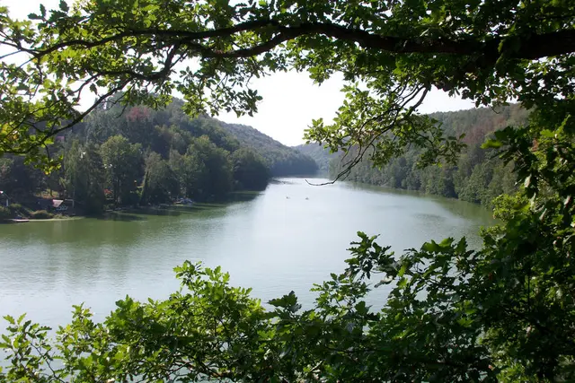 Teen Camp (Growth Academy) – Falkenhain