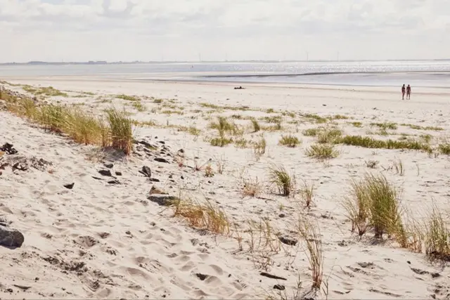 Teen Camp (Growth Academy) – Wangerooge