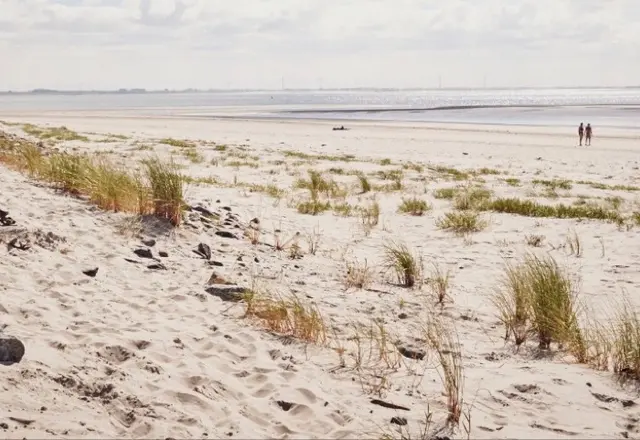 Strand und Dünen auf Wangerooge