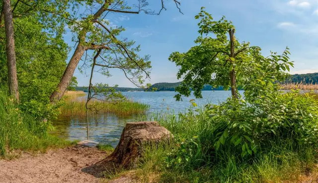 Englisch-Klassenfahrt in Werbellinsee